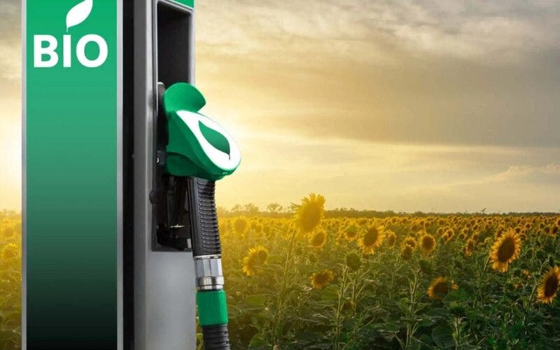 Biocarburanti OK dall'UE