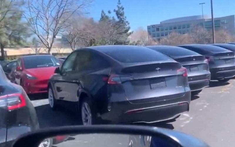 Tesla parcheggiate centro commerciale