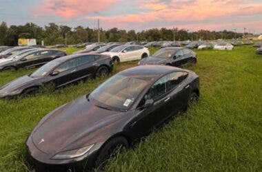 cimitero auto elettriche tesla