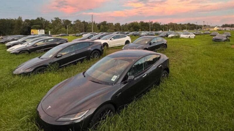 cimitero auto elettriche tesla