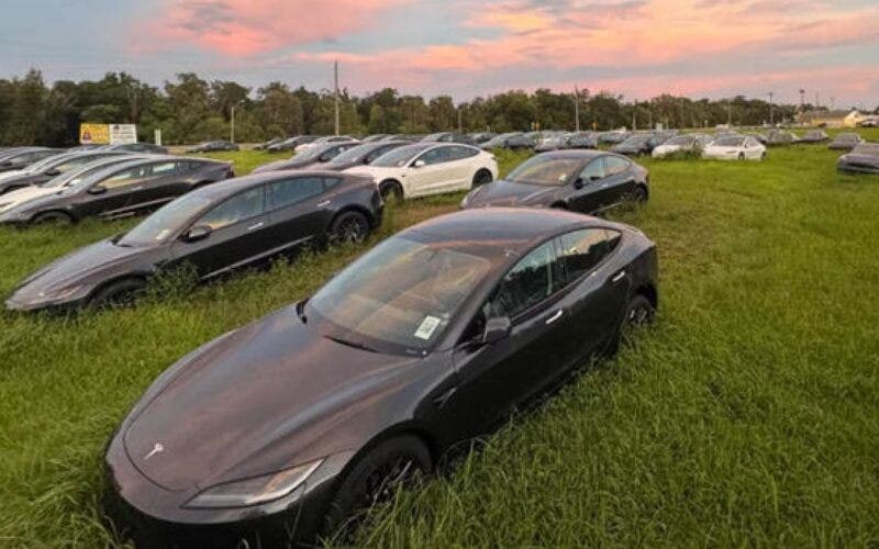 cimitero auto elettriche tesla