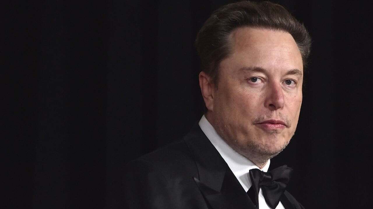 Elon musk ceo tesla