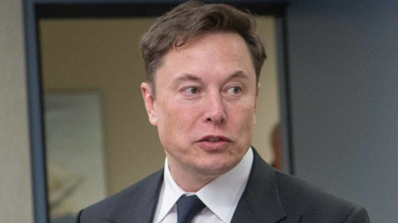 elon musk, ceo tesla