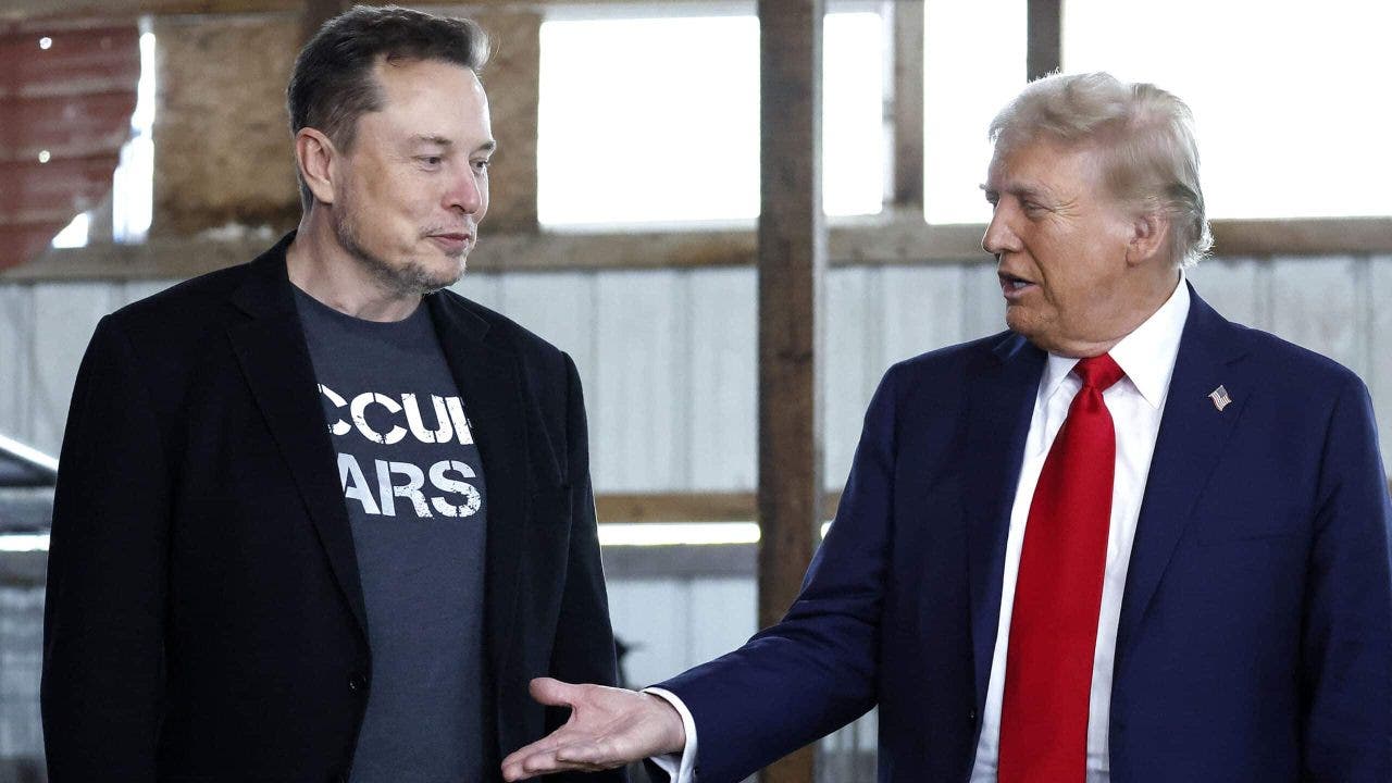 ceo tesla musk e trump