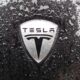 Logo Tesla