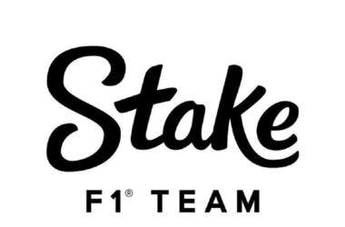 Stake F1 Team