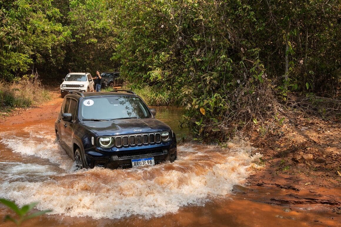 Jeep Nature