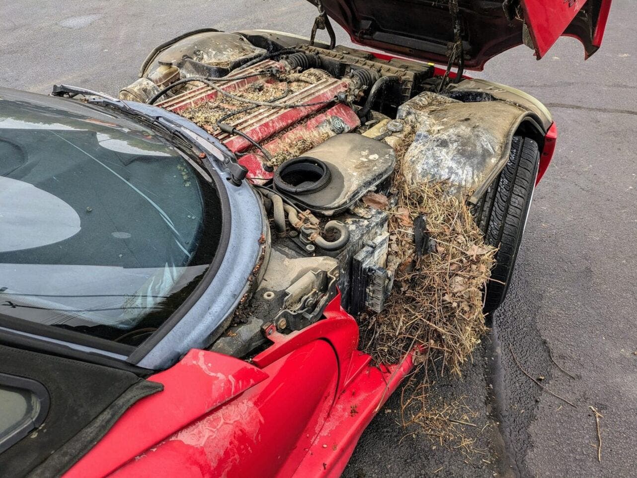 Dodge Viper sign