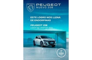 Peugeot 208 best-selling vehicle 2024 Argentine