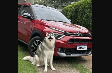 Gudan, Siberian Husky dog Aircross SUV