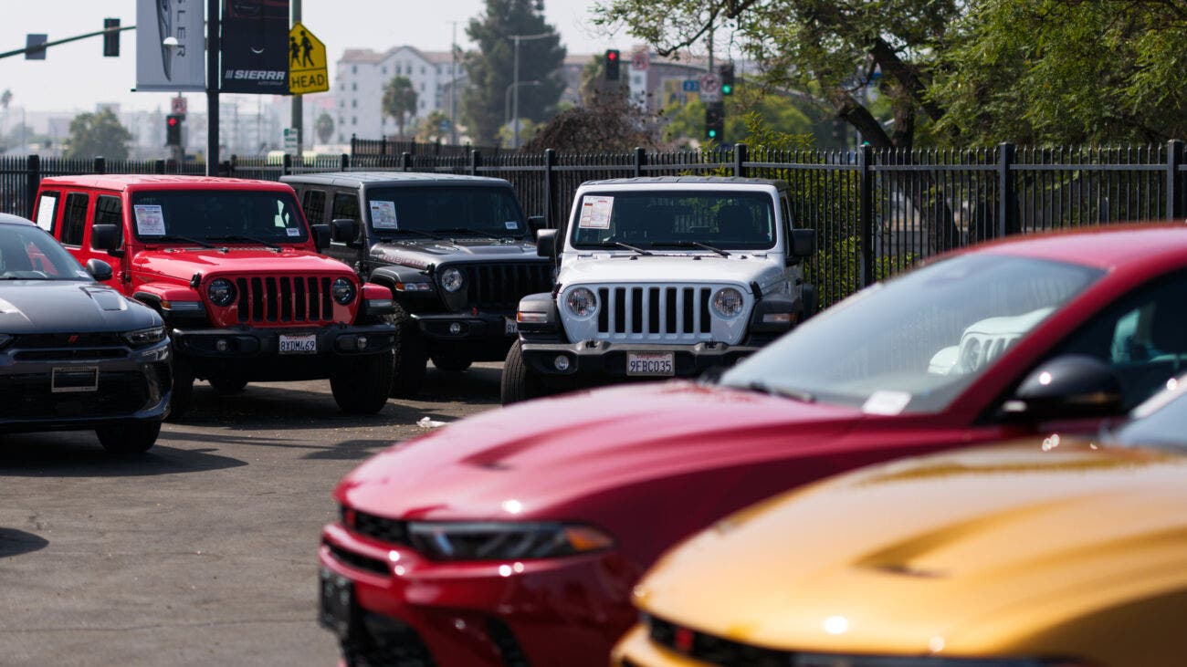 concessionario, jeep in vendita