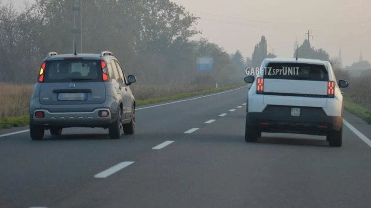 Fiat Grande Panda e Pandina